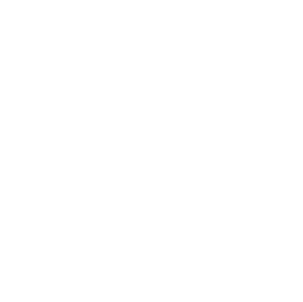 Zodia Therapy
